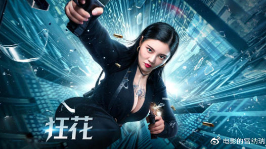 做个卡米尔蒙特护理学院毕业证
